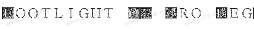 Footlight MT Pro Reg字体转换